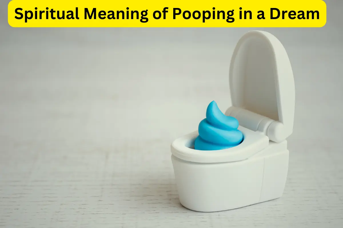 Spiritual Meaning of Pooping in a Dream