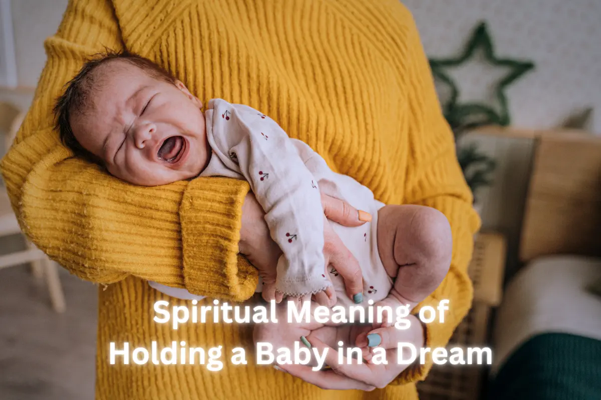 Spiritual Meaning of Holding a Baby in a Dream